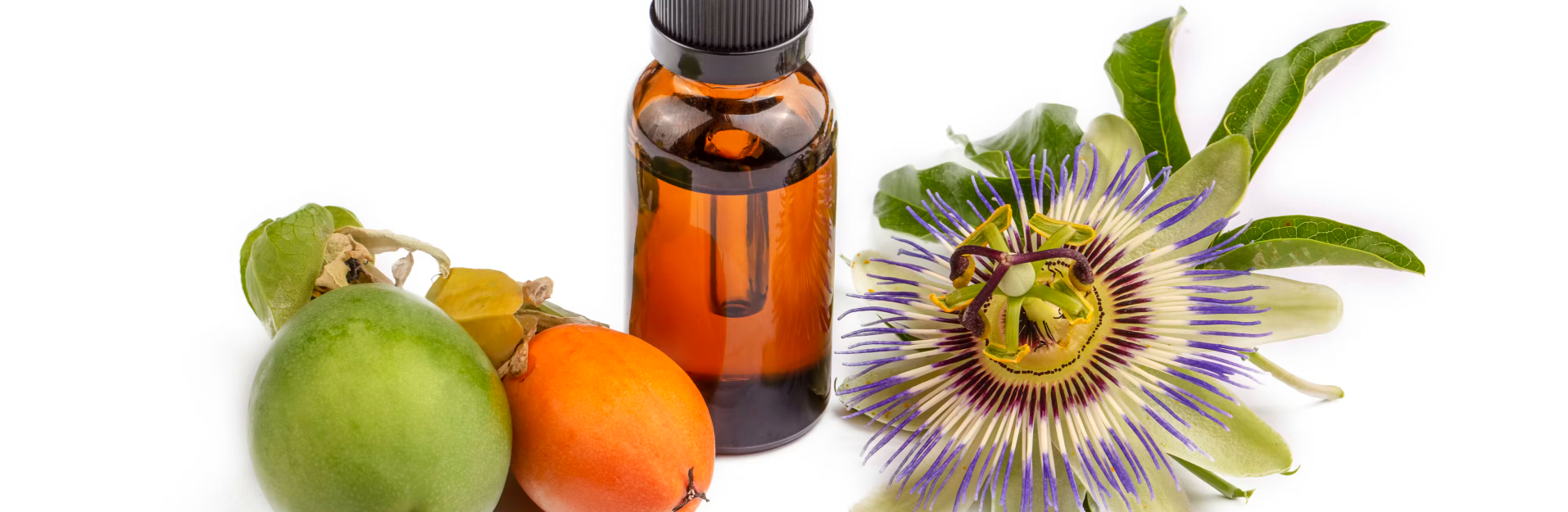 Da Mata ao SUS: investimento público impulsiona fitoterapia no Brasil